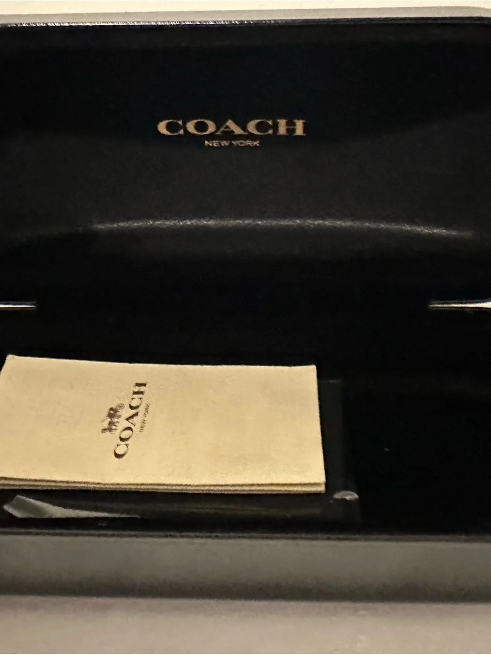 Coach Purple Oversized Women's Sunglasses